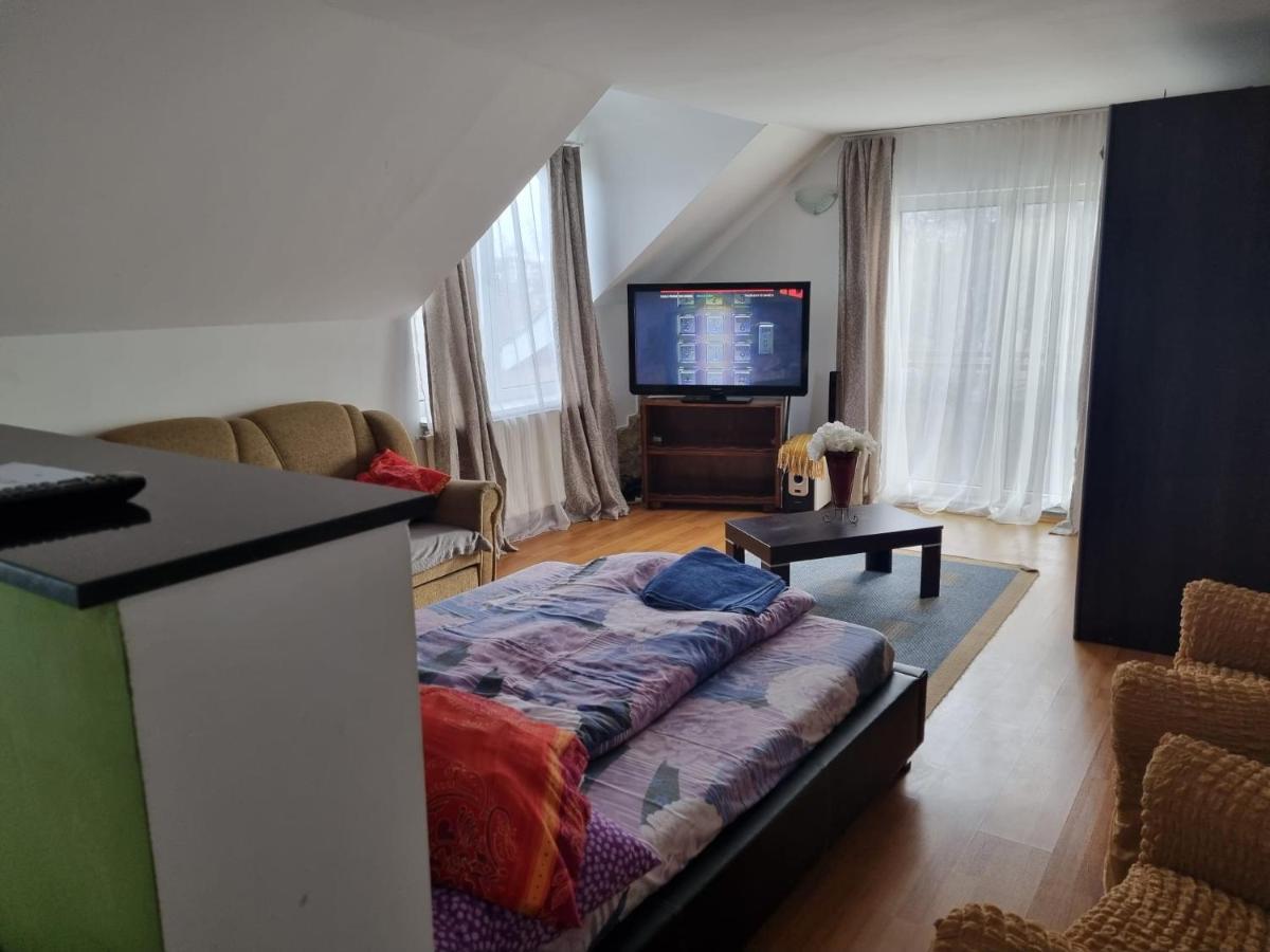 Penthouse Apartament 2 Floors, 2 Bedroom , 2 Bath, 120 Sqm , Inside Yard Parking คลูจ-นาโปกา ภายนอก รูปภาพ